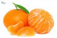 /album/fotogaleria-servicios/mandarina-16856156-53c7-0eaa-81dd-e3bbd4d16f18-jpg/