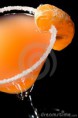 /album/fotogaleria-servicios/coctel-de-la-mandarina-xxl-thumb7745982-jpg/